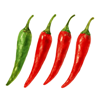 Red and green Chili Pepper Painting png