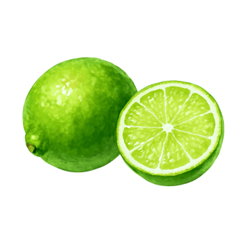 Lime Watercolor Illustration png