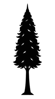 Evergreen Tree Silhouette Isolated On White vector