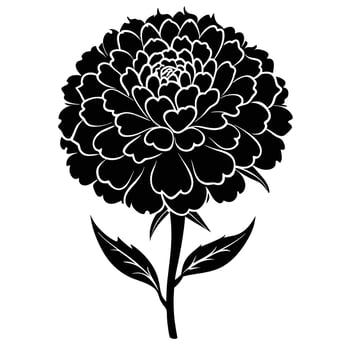 Black And White Marigold Flower Illustration vector