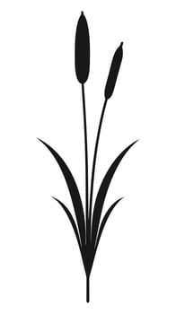Cattail Plant Black Silhouette vector
