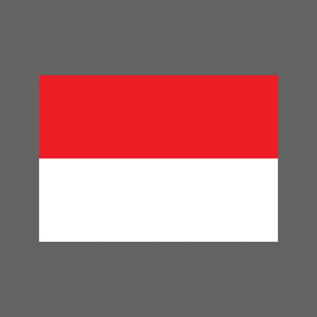 red and white flag. flag of indonesia vector