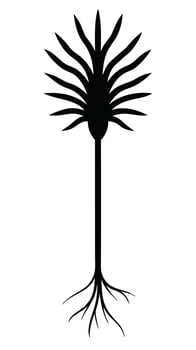 Isolated Black Tree Silhouette Image vector