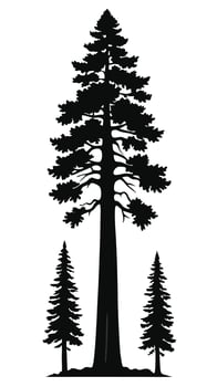 Silhouette Sequoia Trees Black And White vector
