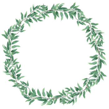 Round wreath with Eucalyptus green branches for greeting Cards png