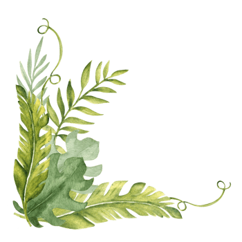Tropical Leaves Corner Bouquet, Composition. Eucalyptus, Monstera and Banana Palm with Liana. Watercolor Composition. Hand drawn botanical illustration. For cards png