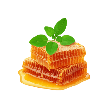 Honey comb with fresh tulsi leaf on transparent background png