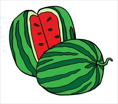 Striped watermelon with vertical cut and whole melon. Colorful hand drawn illustrations collection for summer themes, food icons, recipes, prints or children's designs. vector