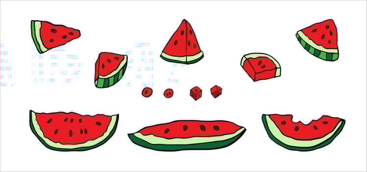 watermelon slices, chunks, and seeds Colorful hand drawn illustration. Ideal for summer themes, food icons, recipes, prints, or children designs. vector