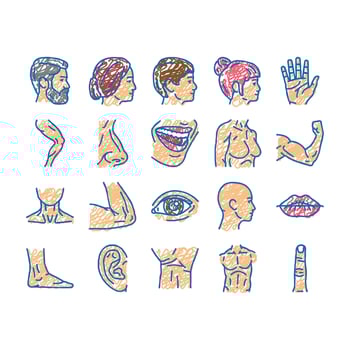 Body And Facial People Parts Icons hand drawn vector