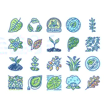Leaf Branch Natural Foliage Tree Icons hand drawn vector