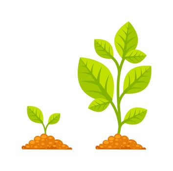 Growing plant showing growth progress from small sprout to large plant vector
