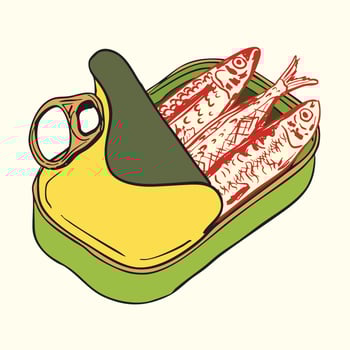 Open Green Tin Can with Sardines Illustration vector
