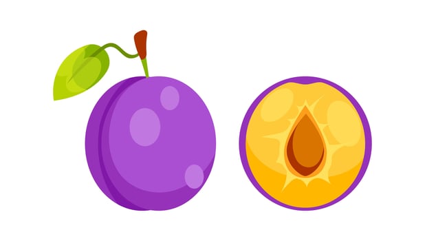 Fresh purple plum with leaf and half plum showing the seed vector
