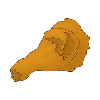 delicious fried chicken vector