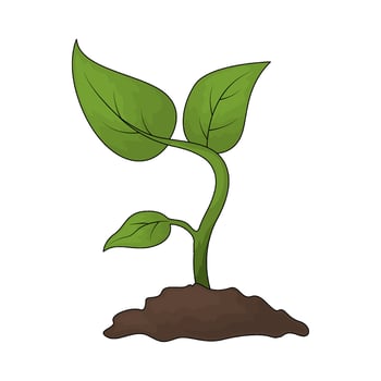 illustration of sprout plants vector