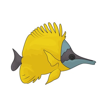 illustration of tropical fish vector