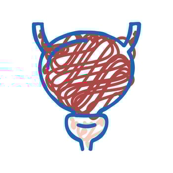bladder human organ icon doodle illustration vector