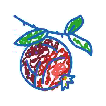 pomegranate branch leaf icon doodle illustration vector