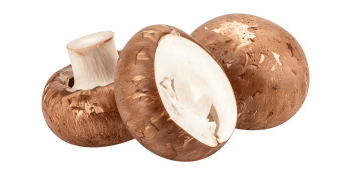 Fresh Portobello Mushrooms png