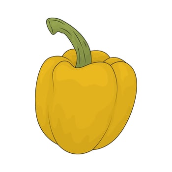 illustration of a yellow bell pepper vector
