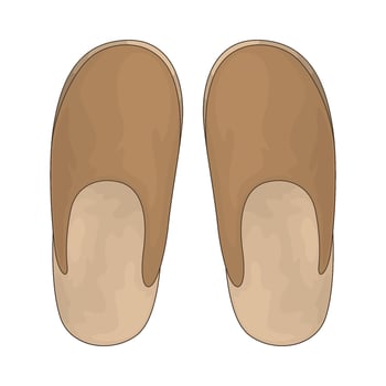 Bedroom slippers illustration vector