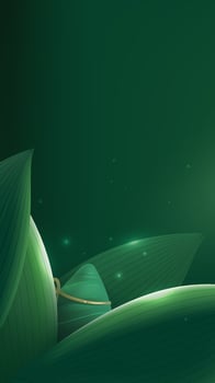 Dragon Boat Festival vertical illustration of leaves in the zongzi vector