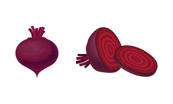 Whole and Chopped Beetroot or Garden Beet with Cross Section Set vector