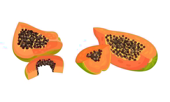 Sliced papaya fruit with seeds set. Healthy diet, organic, vegetarian product illustration vector