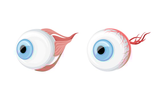 Eye balls donor human organs set cartoon illustration vector