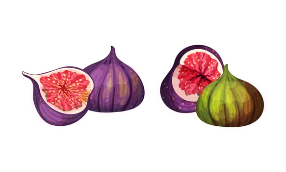 Fresh ripe delicious juicy figs set. Whole and cut in half tropical fruit illustration vector