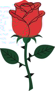 Red rose flower with green leaves and thorns simple illustration design for decoration and nature themes vector