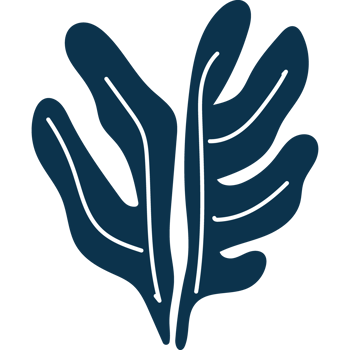 branch leaves nature element icon isolated png