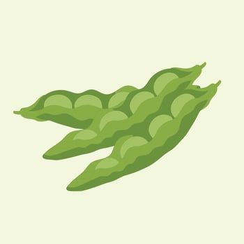 Mung beans flat design cartoon icon illustration vector