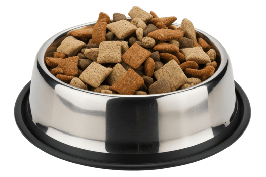 A stainless steel bowl filled with dry pet food isolated on a transparent background png