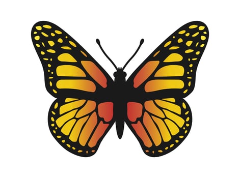 Butterfly silhouette icon symbol. Flying Butterfly moth logo sign design silhouette icon symbol. Flying Butterfly moth logo sign design. monarch butterfly illustration image. Isolated on white backg vector