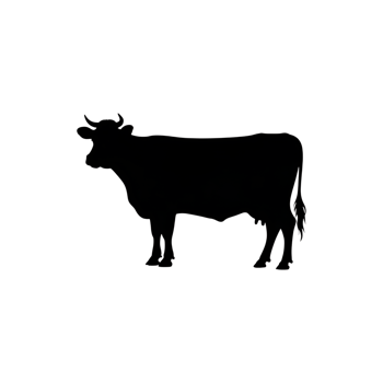 Cow silhouette standing, farm animal illustration, domestic cattle isolated image png