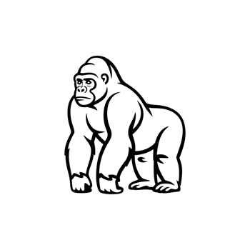 Gorilla illustration a bold, outlined ape standing tall and looking forward, fierce png