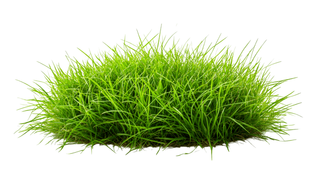 Lush green grass patch for landscaping projects png