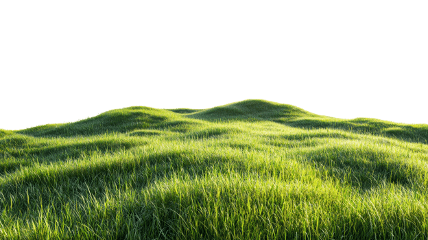 Lush green grass field under bright sunlight png