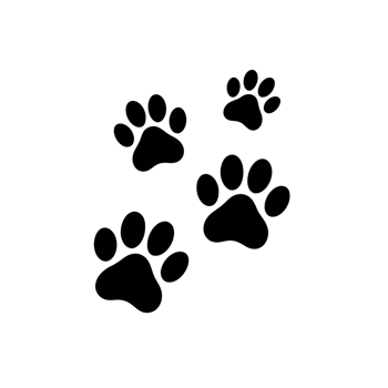 Paw prints illustration with four animal footprints on a plain backdrop design png