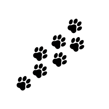 Paw prints trail on a plain backdrop, animal footprints, pet track, isolated png