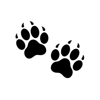 Paw prints, two animal footprints, bear claws, isolated design element, mammal foot, silhouette, pet png