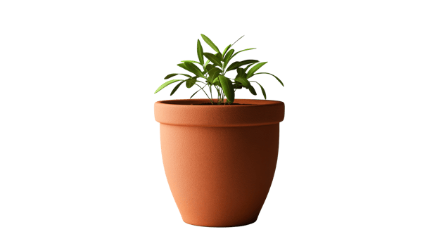 Terracotta pot with indoor plant png