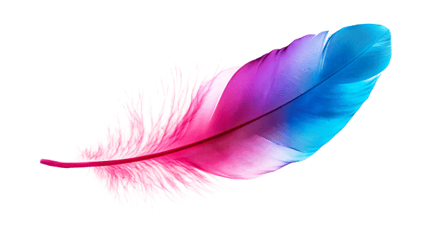 Pink blue feather gradient on black, cut out transparent png
