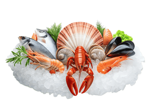 Raw Seafood Arrangement with Ice Chilled Fish and Shellfish png