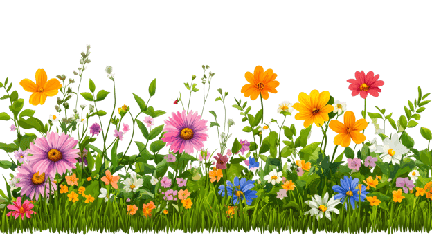 Floral meadow of colorful wildflowers, cut out transparent png