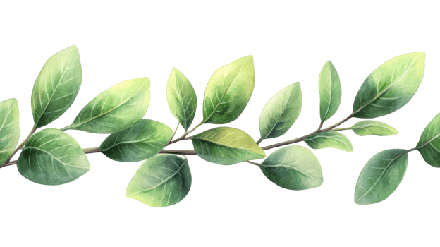 Delicate branch with vibrant green leaves png
