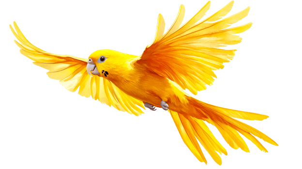Bright yellow parrot soaring gracefully in flight png