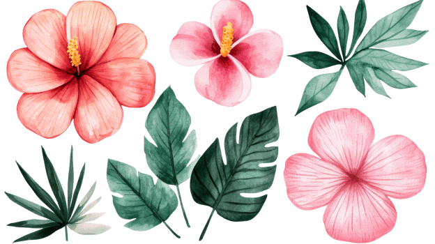 Tropical flowers and leaves on clear bg png